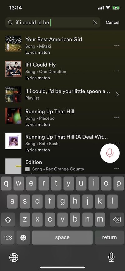 Lyrics-Match-Feature-to-Find-Songs-in-Spotify-for-iOS