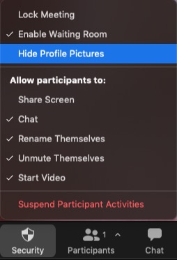 Hide-Participant-Profile-Pictures-Option-in-Zoom-Meetings