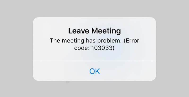 Leave-Meeting-The-meeting-has-problem-Error-code-103033-on-Zoom-App