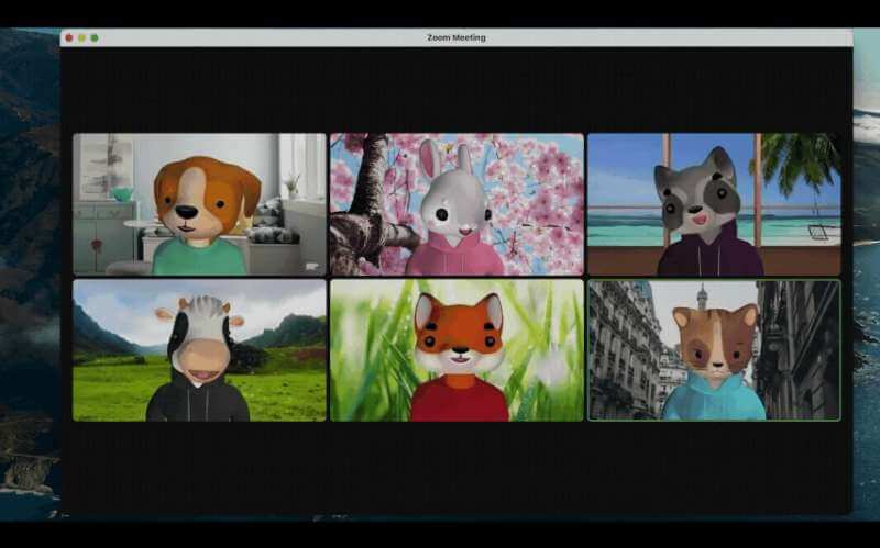 How to Apply & Use Animal Avatars on Zoom Video Meetings