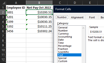 How-to-format-the-cell-in-MS-Excel-to-Text