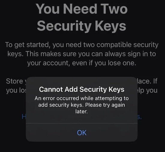 What-Causes-the-Cannot-Add-Security-Keys-Error-on-iPhones