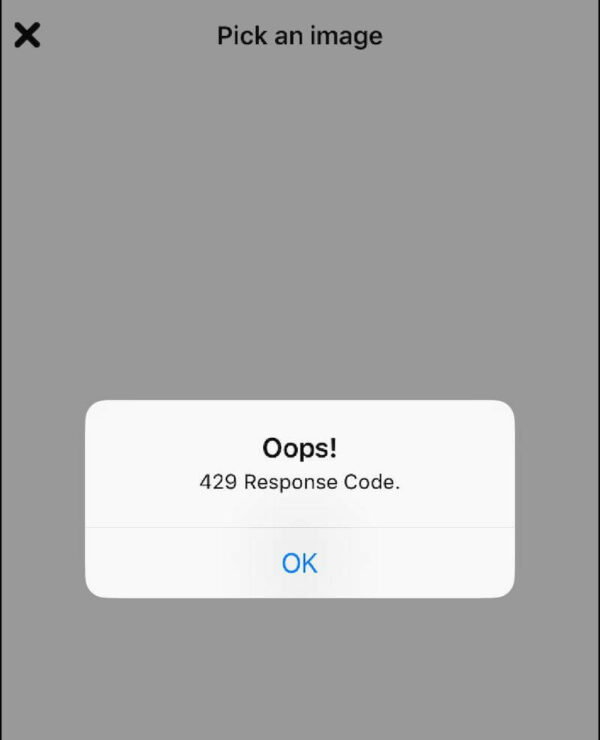 How to Fix Pinterest Error Code 429 Too Many Requests Issue