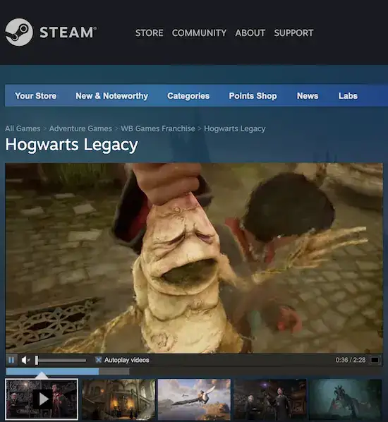 Use-Steam-Launcher-to-Customize-Hogwarts-Legacy